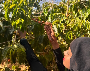 Quality and Innovation